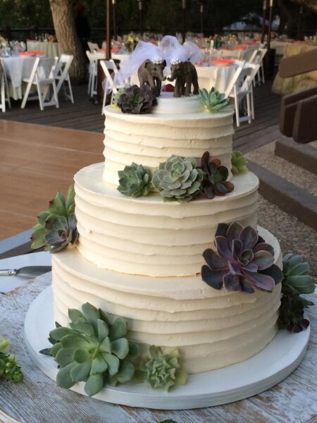 Elephant And Succulent Cake