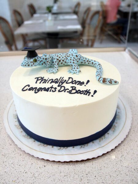 Graduating Gecko Cake