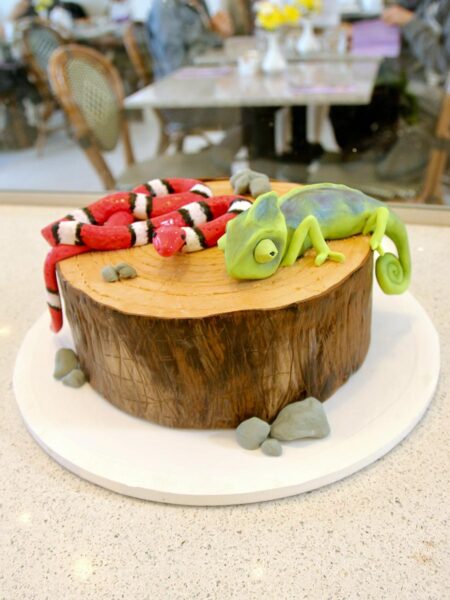 Reptile Chocolate Tree Trunk Cake