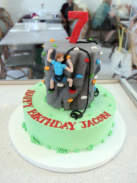 Rock Climbing Cake