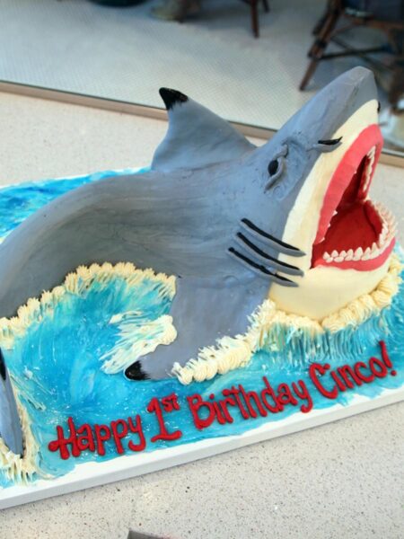 Shark Cake